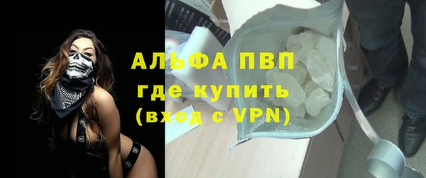 PSILOCYBIN Горнозаводск