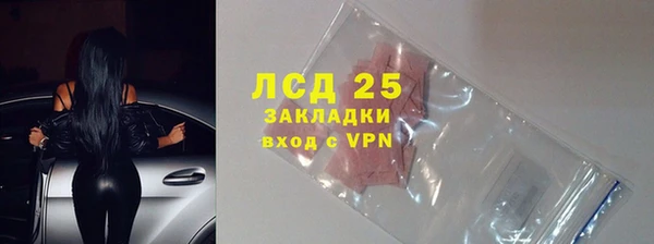 PSILOCYBIN Горнозаводск