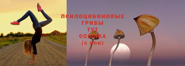PSILOCYBIN Горнозаводск