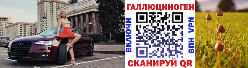 Галлюциногенные грибы Psilocybe  Купить закладки  Сычёвка 